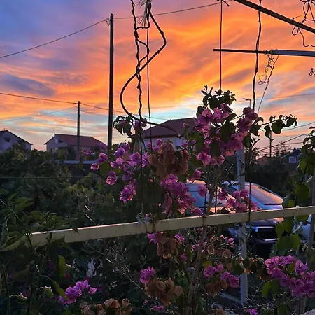 Daniel's Daire Sukošan